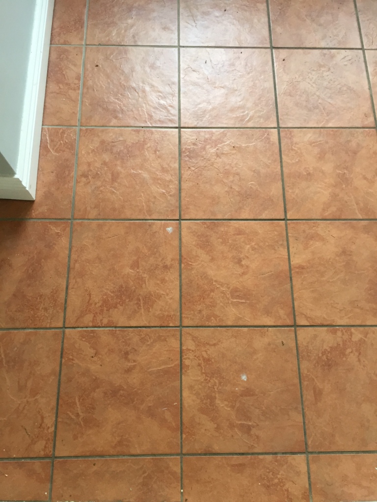 Refreshing a Procelain Tiled Utility Room Used by Dogs Tiling Tips