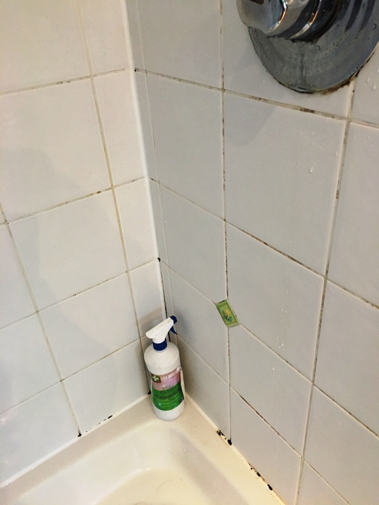 Ceramic Tiled Shower Cubicle Renovation in West Surrey Tiling Tips