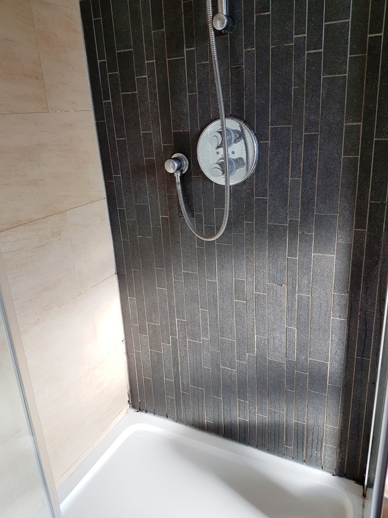 Removing Mould From A Porcelain Tiled Shower In North West