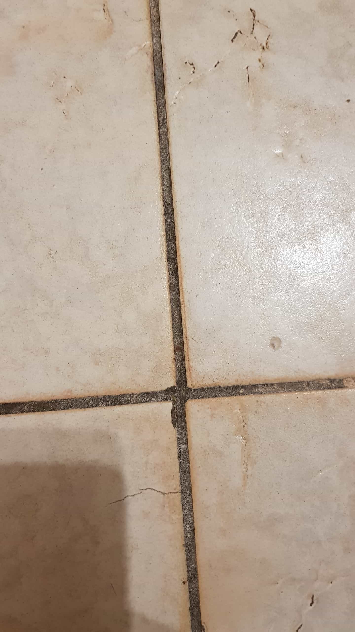 Deep Cleaning Textured Ceramic Floor Tiles in Barnsley, South Yorkshire Tiling Tips Tips and